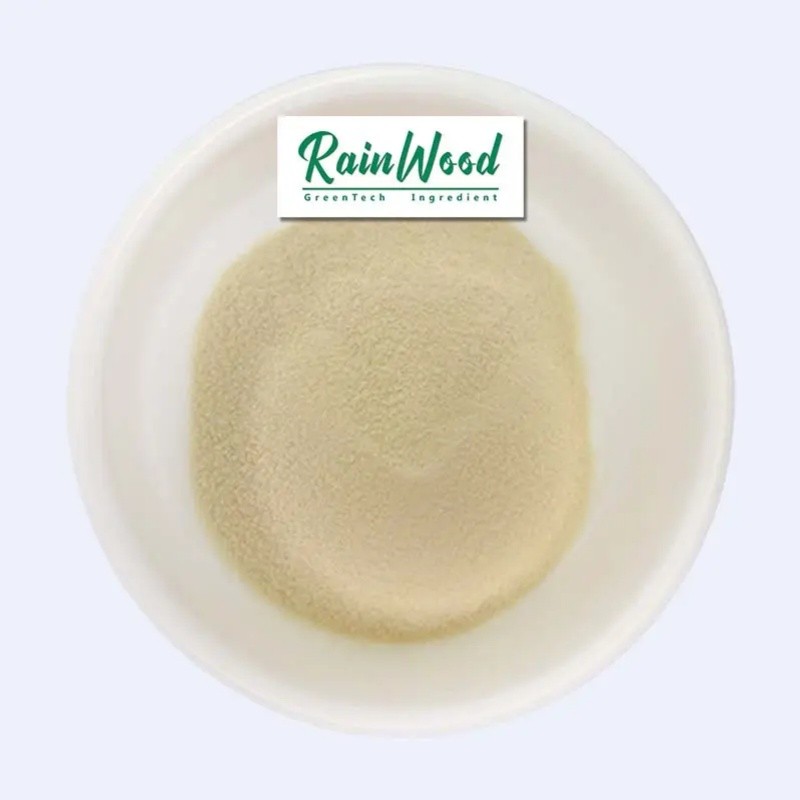 Pineapple Juice Powder Manufacturer - Spray Dried Powder Juice Powder