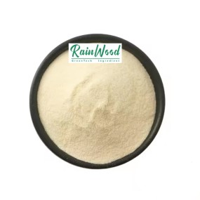 Pineapple Powder Supplier - Freeze Dried Organic Fruit Powder