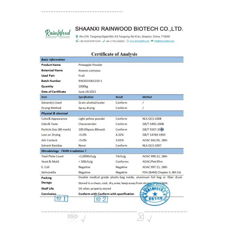 Pineapple Powder Supplier - Freeze Dried Organic Fruit Powder