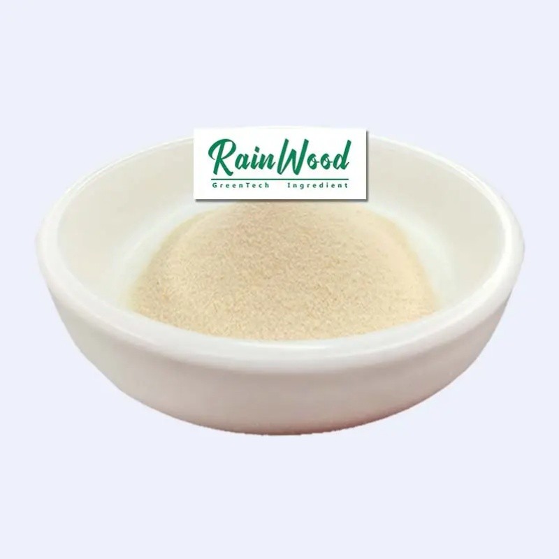 Pineapple Juice Powder Manufacturer - Spray Dried Powder Juice Powder