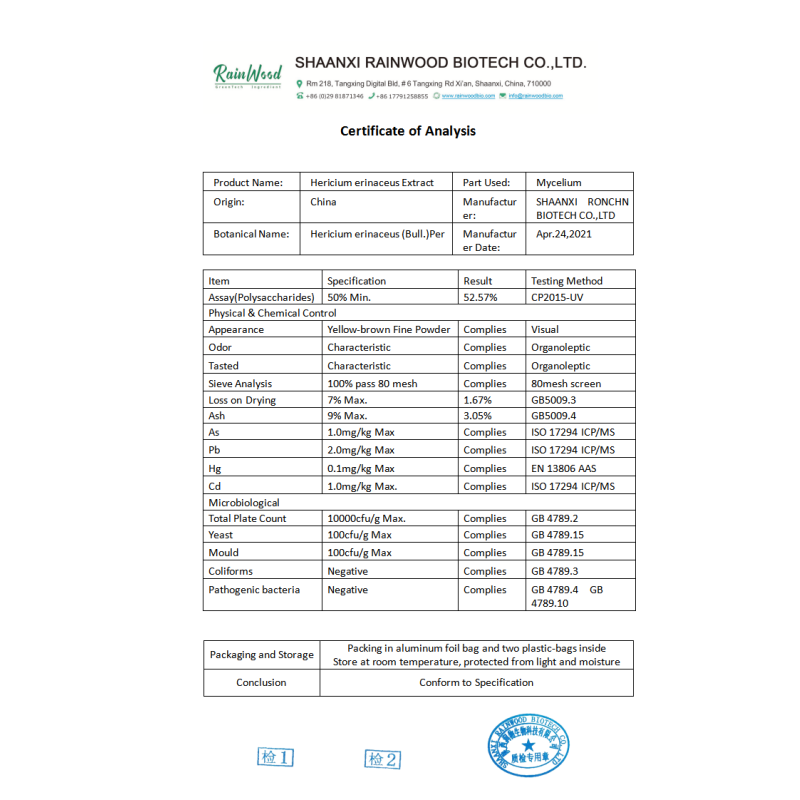 Lions Mane Powder Manufacturer - High Quality Organic Hericium Extract