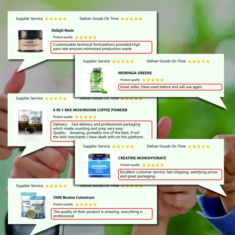 Matcha Powder Supplier - Organic Certified High Quality Green Tea