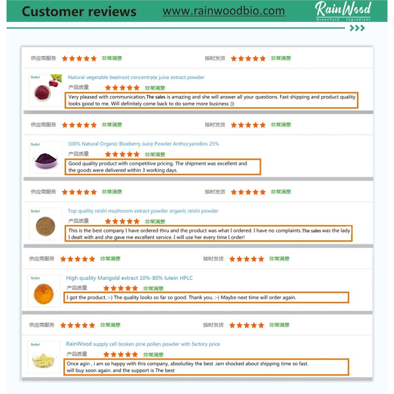 Acai Berry Powder Manufacturer - 100% Pure Freeze Dried Extract Powder