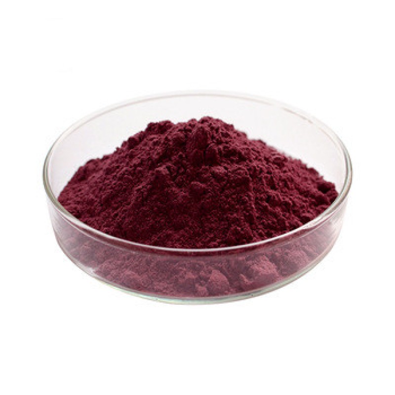 Black Currant Extract Manufacturer - Factory Supply Drum Packed Blackcurrant Juice Powder