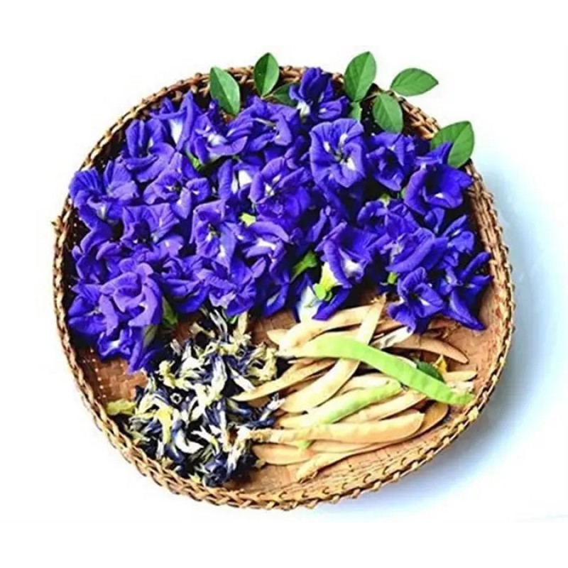 Blue Butterfly Pea Flower Manufacturer - Herbal Tea Ingredient Dried 15kg/Bag Supply