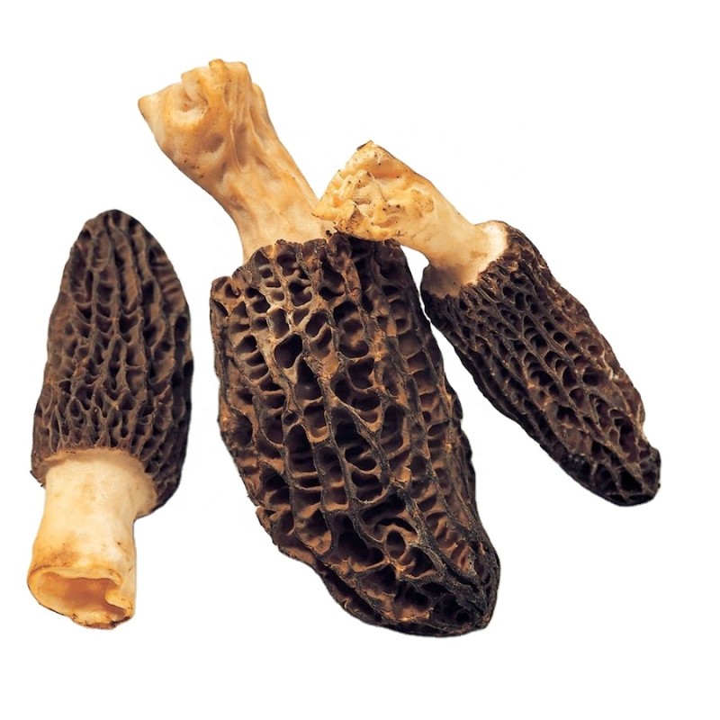 Dried Black Morchella Esculenta Manufacturer - Whole Wild Morel Mushrooms for Sale