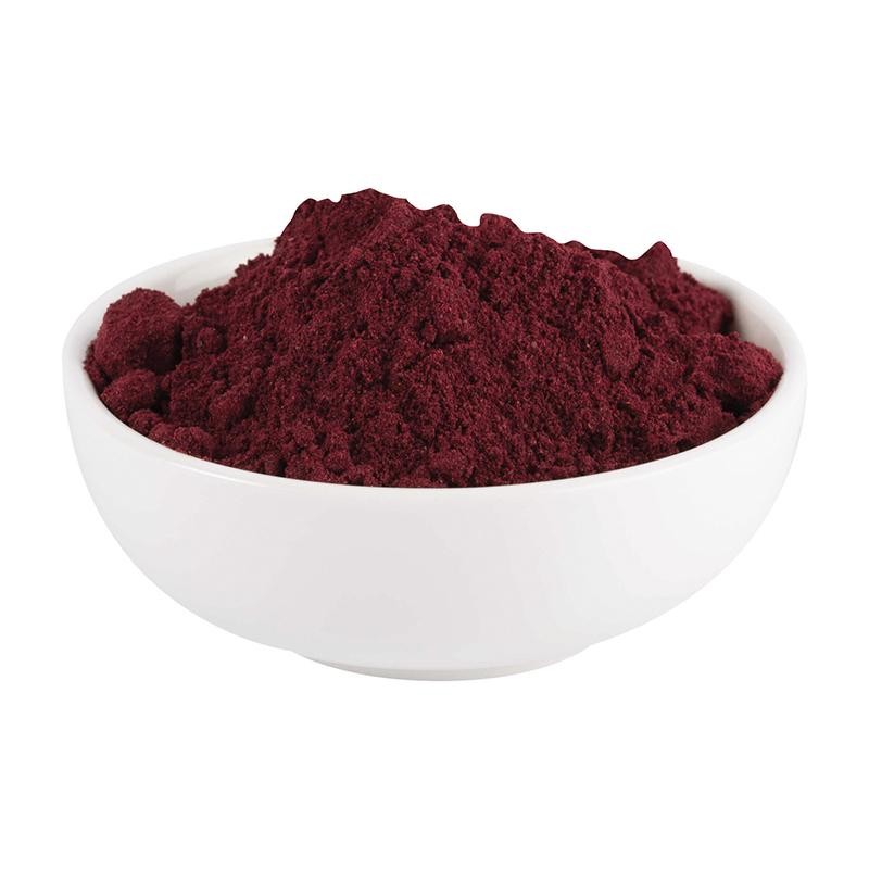Black Currant Extract Manufacturer - Factory Supply Drum Packed Blackcurrant Juice Powder