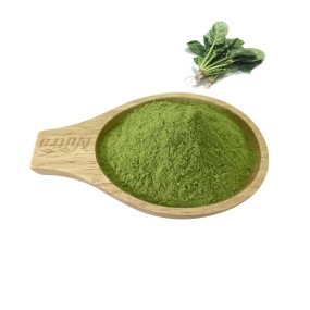 Green Vegetable Powder Manufacturer - Wholesale Organic Spinach Extract Powder for Sale