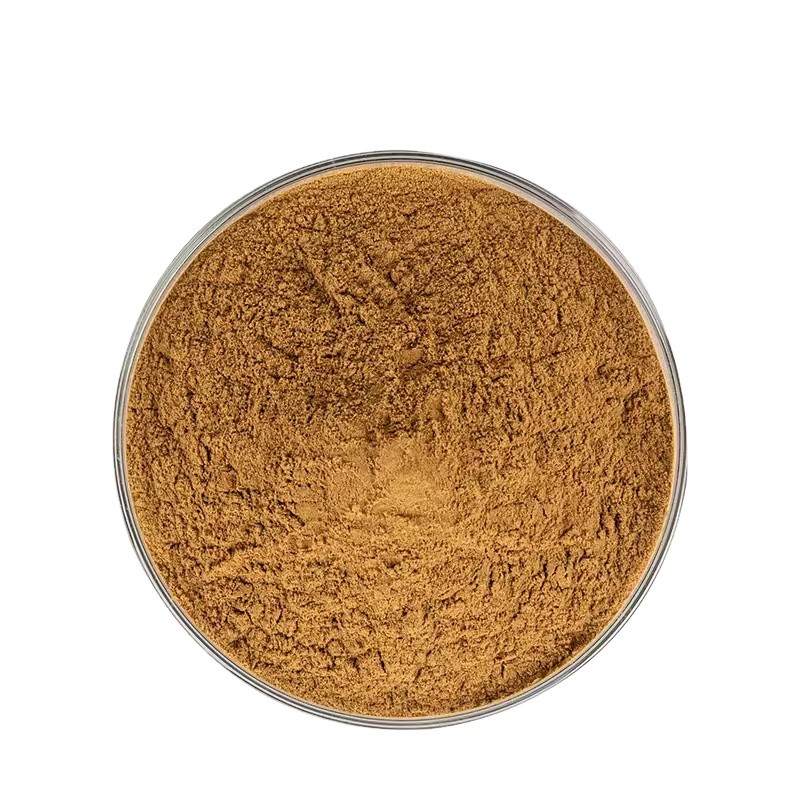 Tempeh Extract Powder Manufacturer - Food Grade Powder for Health Care Supply