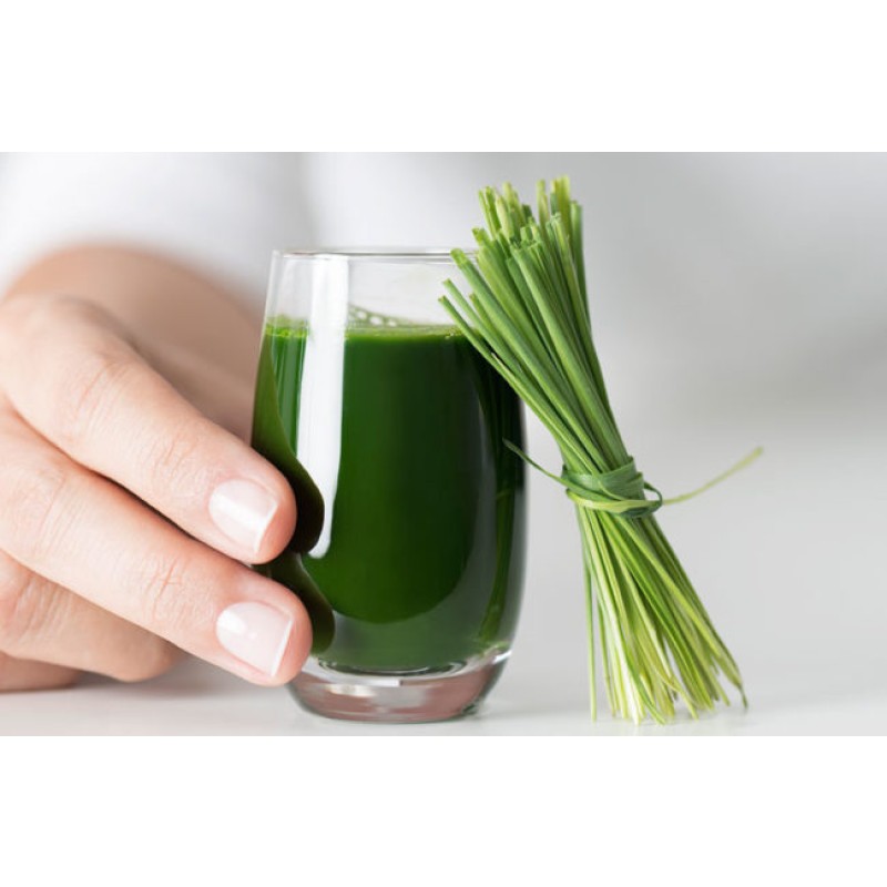 Barley Leaf Juice Powder Manufacturer - China Factory Organic Barley Grass Powder Supply