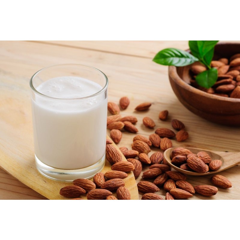 Organic Almond Milk Powder Manufacturer - High Quality EU Certified Bulk Powder Supply