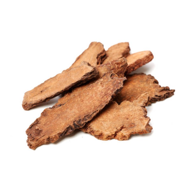 Cynomorium Extract Powder Manufacturer - Natural Chinese Herb Medicine Cynomorium Songaricum Rupr Powder Supply