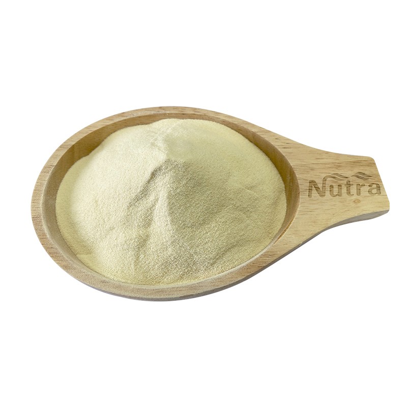 Garlic Products Manufacturer - Air Dried Garlic Granules Odorless Garlic Powder Dehydrated Minced Garlic Supply