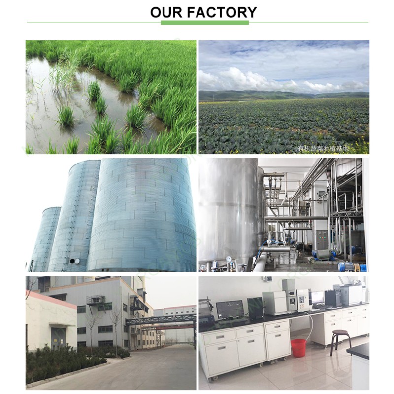 Hemp Protein Powder Manufacturer - Wholesale Superfoods Seed High Quality Light Green Organic Hemp Isolate Powder 2 Years