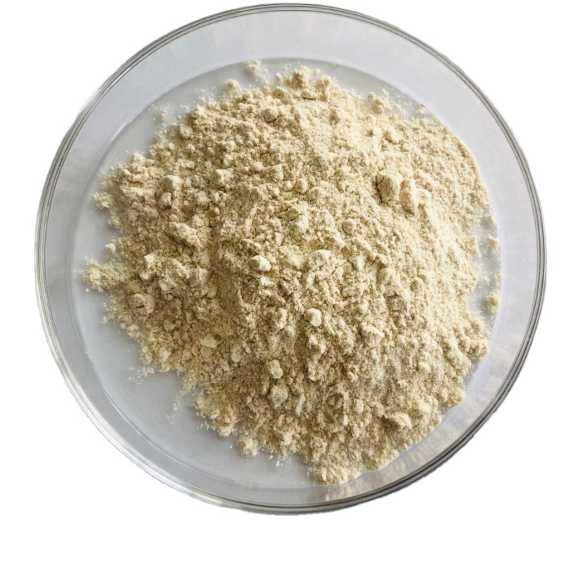 Oat Milk Powder Manufacturer - Factory Bulk Supply Hydrolyzed Oat Milk Powder for Sale