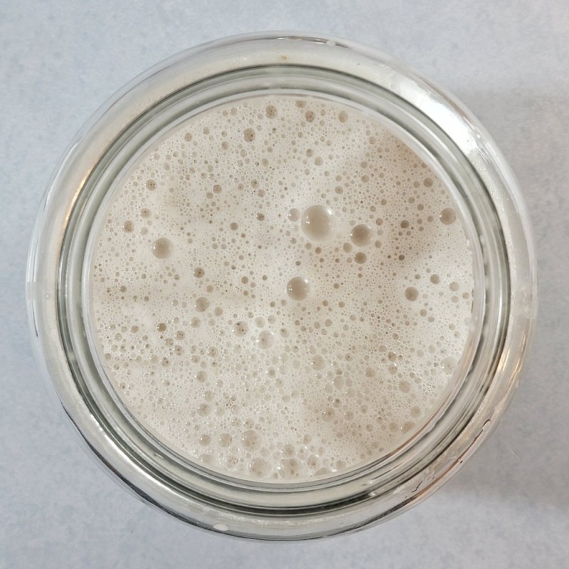 Oat Milk Powder Manufacturer - Wholesale 100% Water Soluble Organic Oat Powder