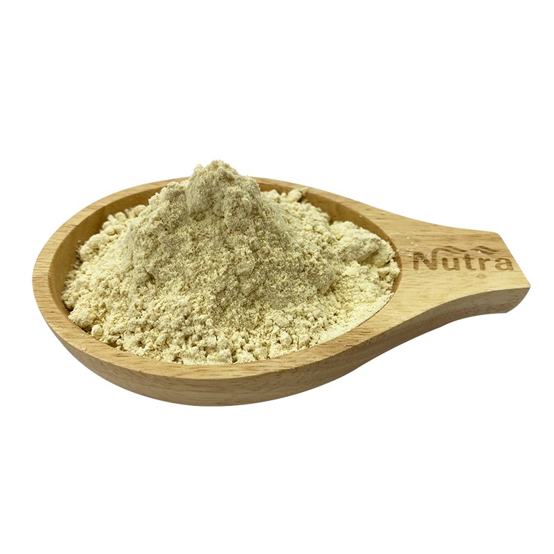 Organic Bee Honey Powder Manufacturer - High Quality Instant Bee Honey Powder Supply