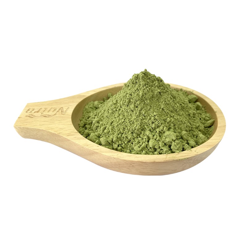 Barley Grass Powder Manufacturer - Hot Selling Barley Grass Juice Extract Powder