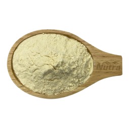 Mung Bean Protein Isolate Manufacturer - Professional Production Organic Healthy Plant Protein Powder