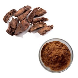 Cynomorium Extract Powder Manufacturer - Natural Chinese Herb Medicine Cynomorium Songaricum Rupr Powder Supply