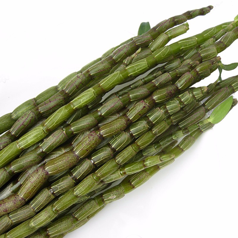 Dendrobium Stem Powder Manufacturer - Bulk Freeze-dried Shihu Herbal Dendrobium Officinale Powder Best Price