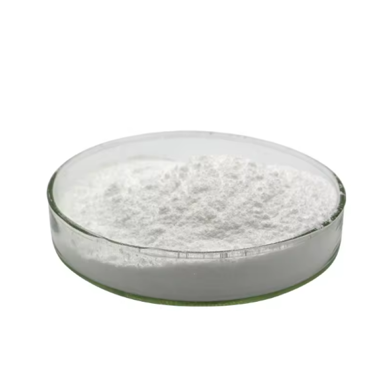 Probiotics Powder Manufacturer - Free Sample Available Best Price for Wholesale Supply