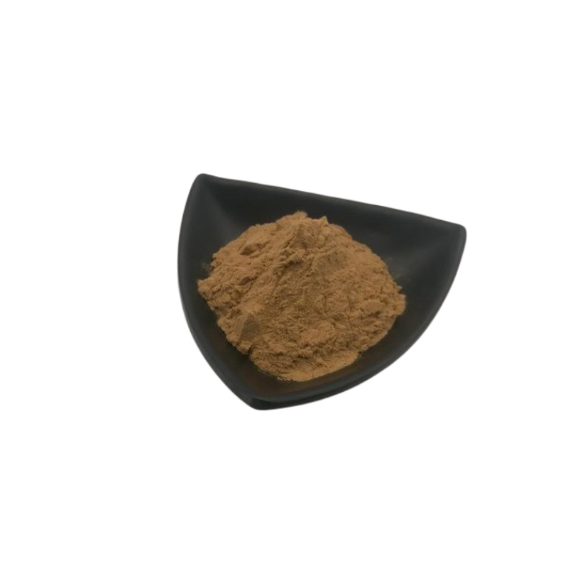 Red Spinach Powder Manufacturer - Factory Supply Bulk Organic Red Spinach Extract