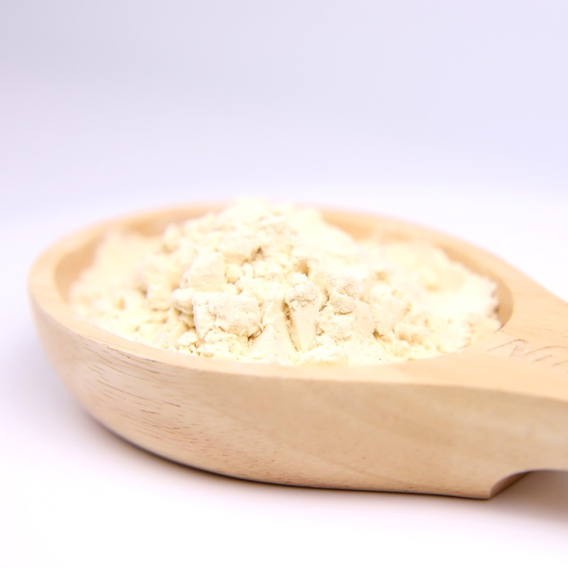 Organic Pea Protein Isolate Manufacturer - Factory Price Pea Protein Powder