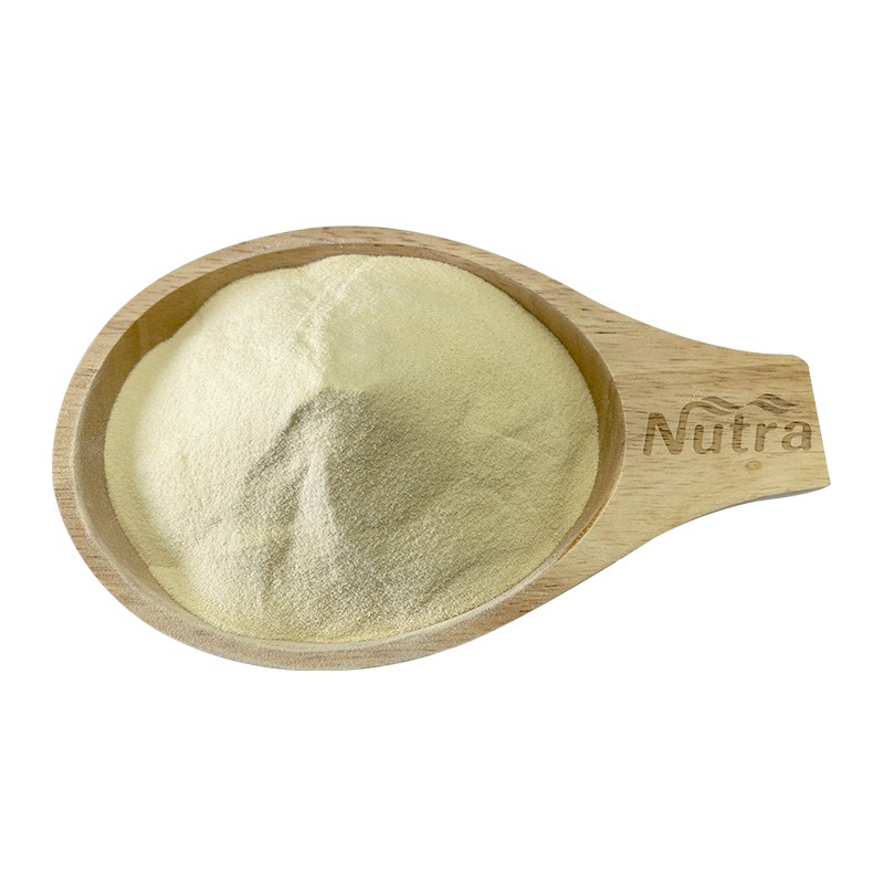 Garlic Products Manufacturer - Air Dried Garlic Granules Odorless Garlic Powder Dehydrated Minced Garlic Supply