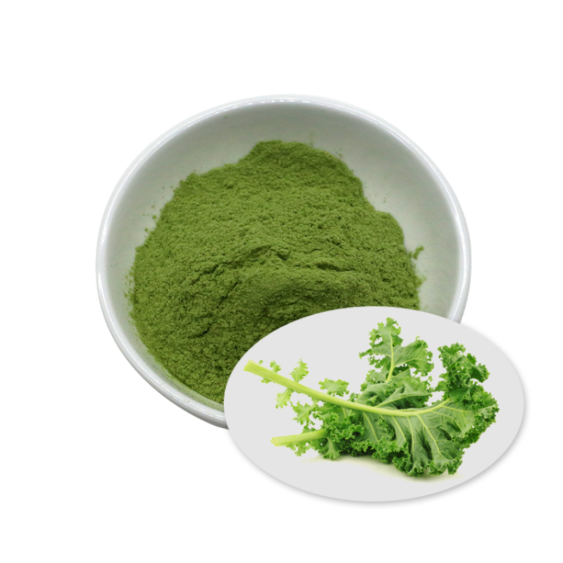 Organic Kale Powder Manufacturer - Factory Supply Good Quality Bulk Dried Collard Kale Powder for Sale
