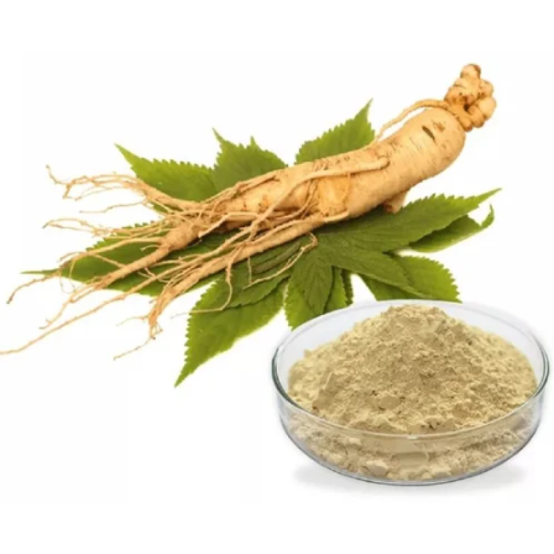 Ginseng Powder Manufacturer - Supply High Quality Free Sample Best Price for Sale