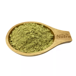 Pumpkin Seed Extract Manufacturer - Factory Supply Organic 20:1 Food Grade Pumpkin Seed Protein Powder