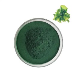 Organic Chlorella Powder Manufacturer - Pure Natural High Quality Wholesale Bulk Chorella Tablets Supply