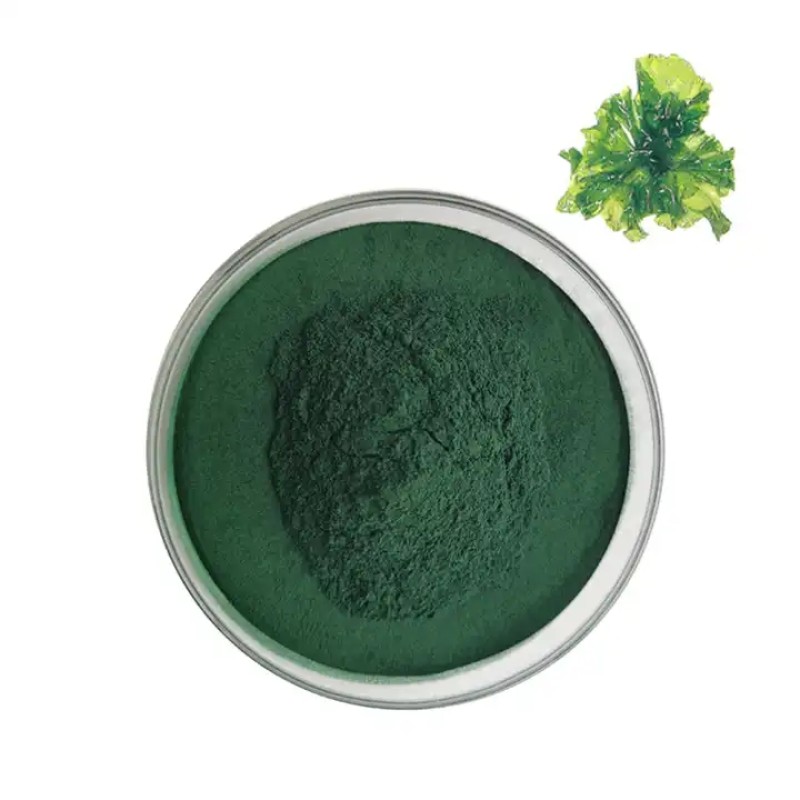 Organic Chlorella Powder Manufacturer - Pure Natural High Quality Wholesale Bulk Chorella Tablets Supply