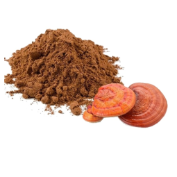 Reishi Extract Powder Manufacturer - Supply Pure High Quality Organic 10:1 5:1 Extract with 10% 20% 30% 40% 50% Polysaccharide