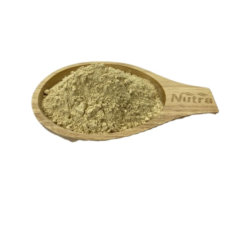 Ceremonial Grade Matcha Powder Manufacturer - USDA Organic Certified Free Sample Supply