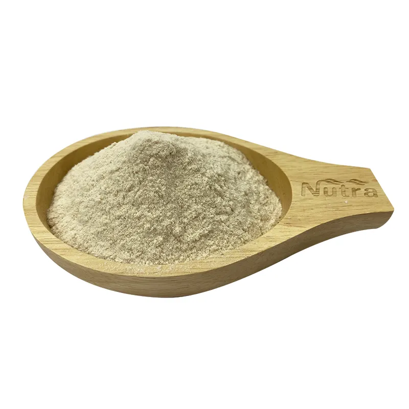 Non-dairy Creamer Manufacturer - Factory Price Vegetable Fat Powder Non-dairy Powder