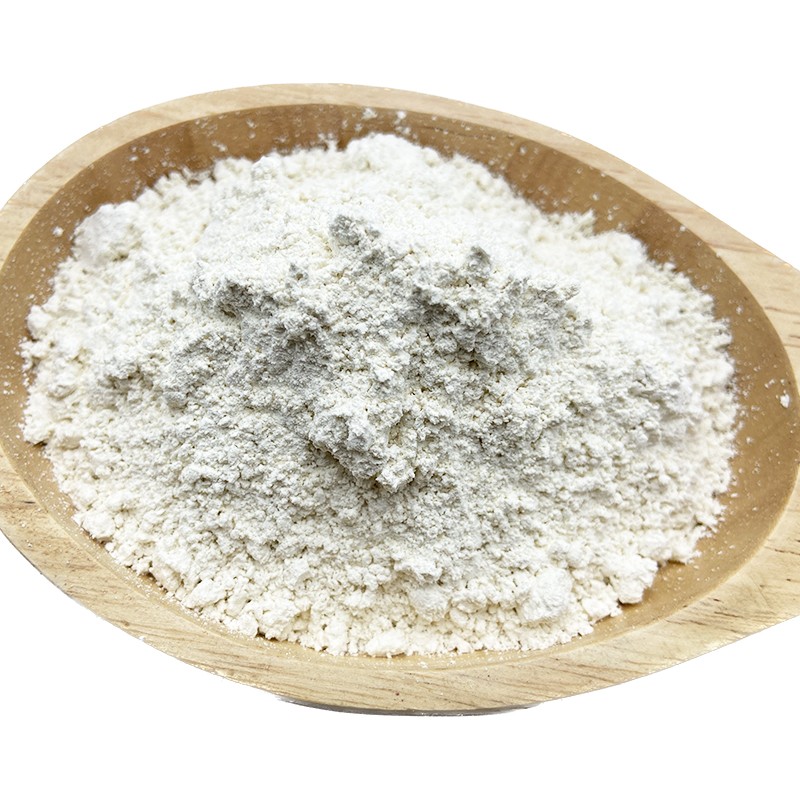 Organic Rice Protein Isolate Manufacturer - Bulk Bag Food Ingredients HACCP Organic Halal Best Price for Private Label