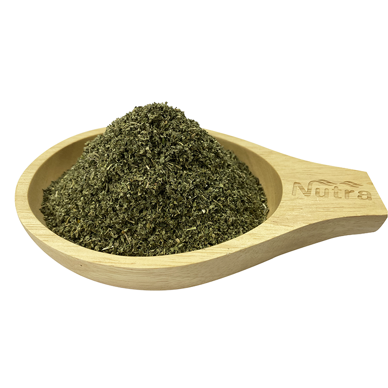 Ginkgo Biloba Leaf Tea Manufacturer - Factory Supply Fine Cut Ginkgo Leaf Tea
