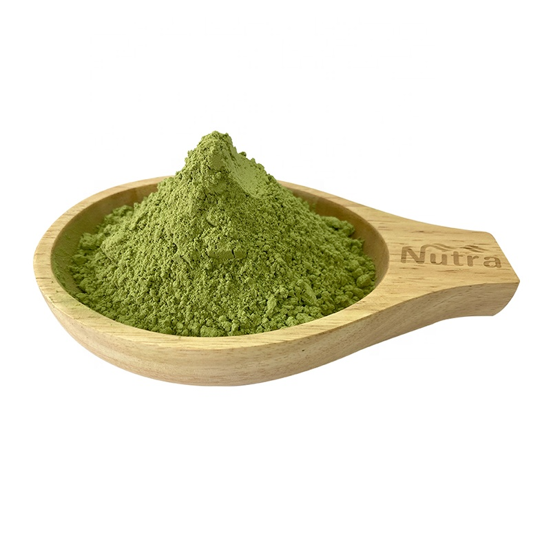 Wheatgrass Powder Manufacturer - Natural Commercial Plant Extract Supplement Organic Wheat Grass Powder