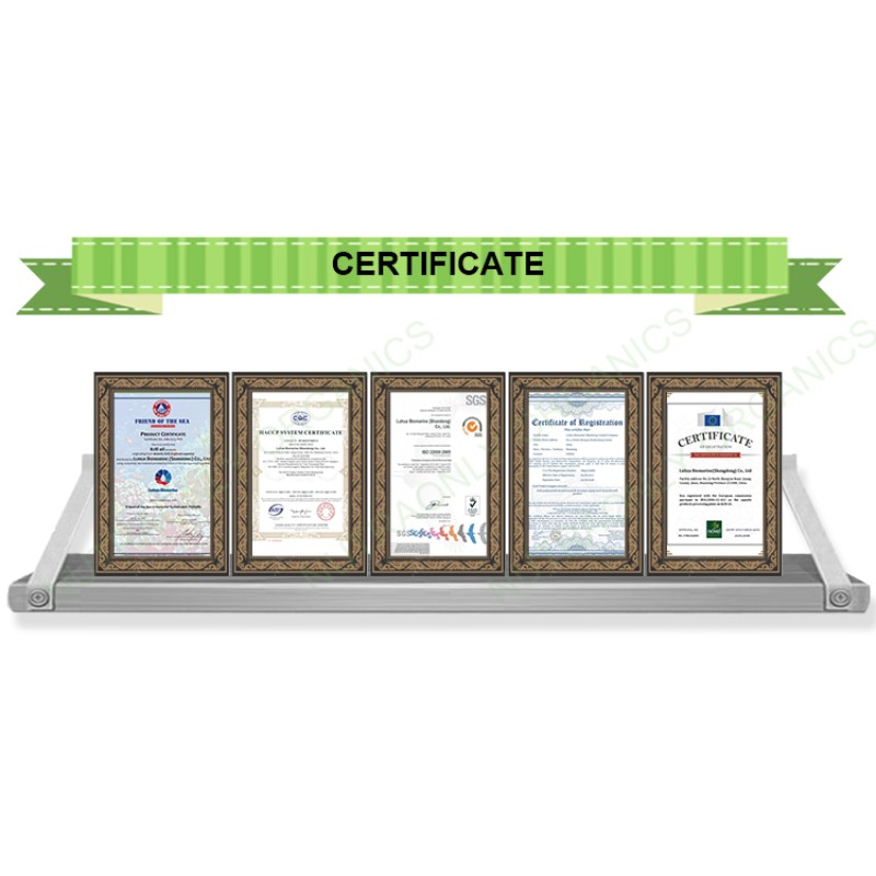 Hemp Protein Powder Manufacturer - Wholesale Superfoods Seed High Quality Light Green Organic Hemp Isolate Powder 2 Years