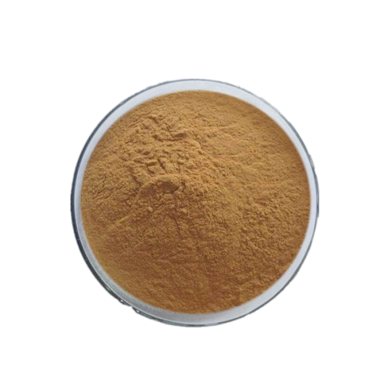 Hawthorn Extract Manufacturer - High Quality Hawthorn Fruit Powder Crataegus Pinnatifida Extract Supply