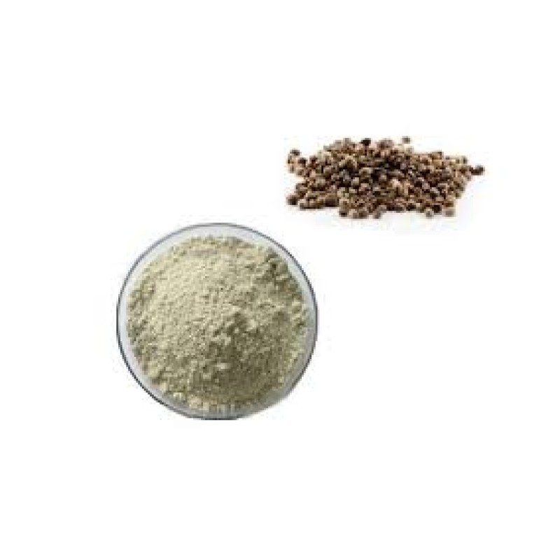 Organic Rice Protein Isolate Manufacturer - Bulk Bag Food Ingredients HACCP Organic Halal Best Price for Private Label