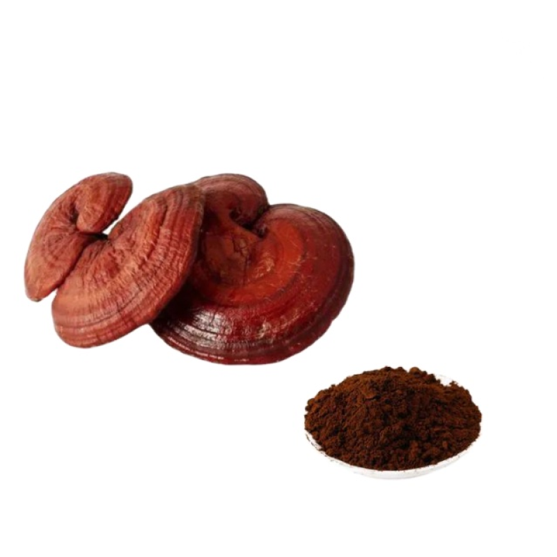 Organic Reishi Spore Powder Manufacturer - Supply Pure High Quality Raw Free Sample Best Price for Sale