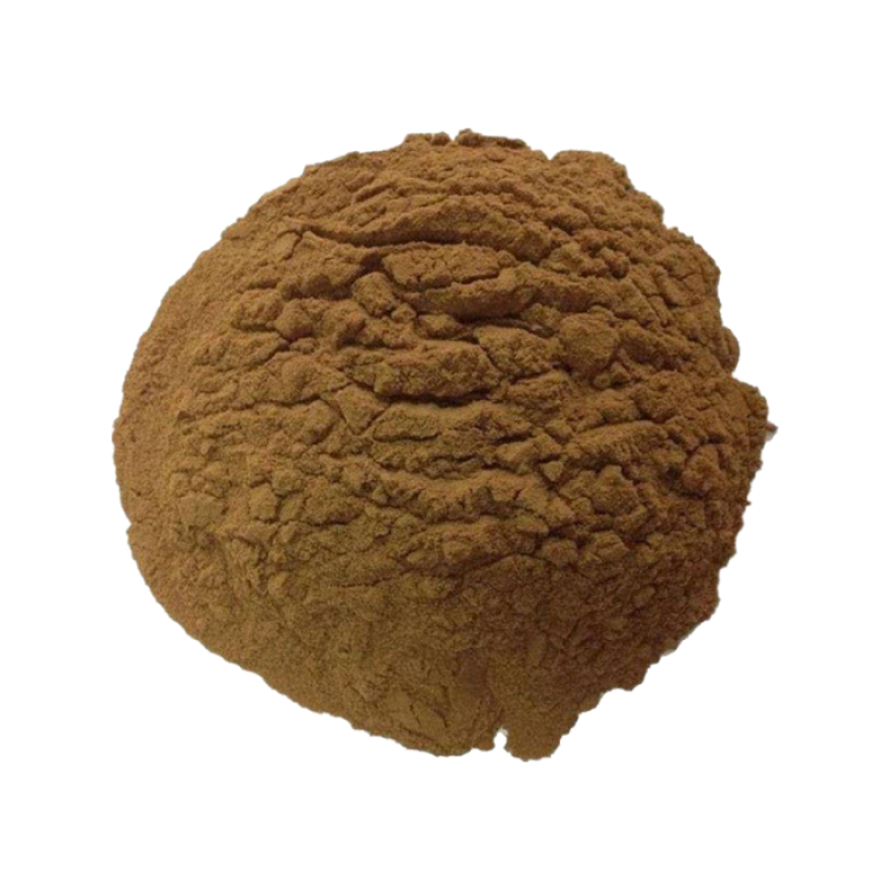 Cola Acuminata Kola Nut Extract Manufacturer - Hot Selling ISO Kosher Halal Certificated Organic Powder