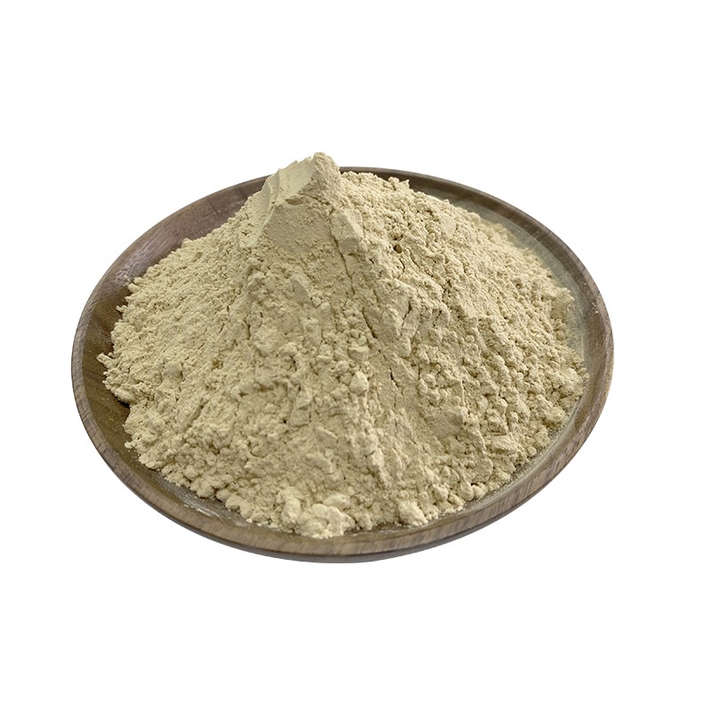 Non-dairy Creamer Manufacturer - Factory Price Vegetable Fat Powder Non-dairy Powder