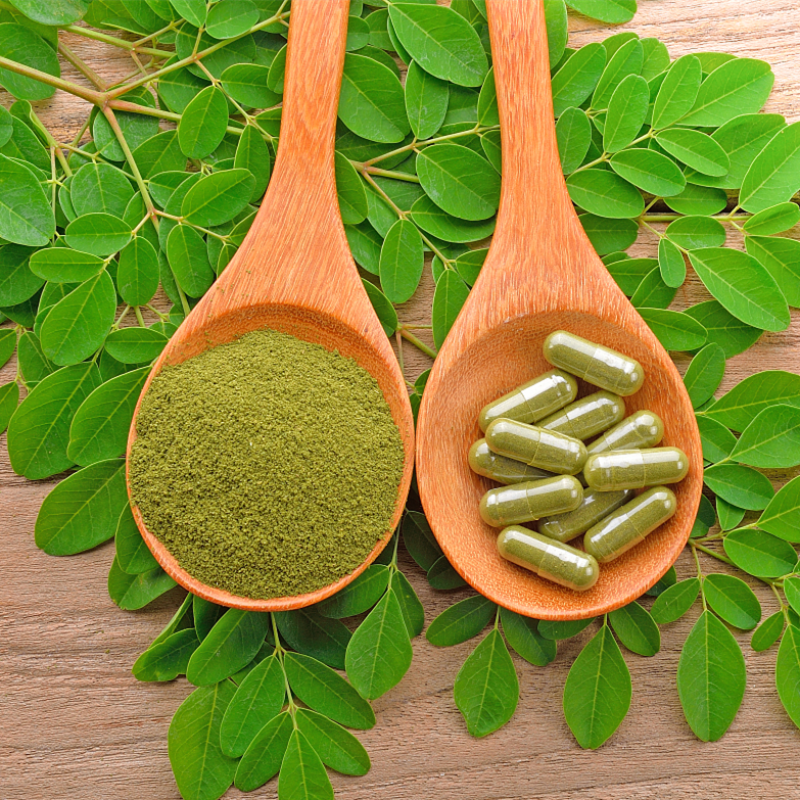 Organic Moringa Powder Manufacturer - 99.999% Pure Factory Supply High Quality Moringa Oleifera Powder