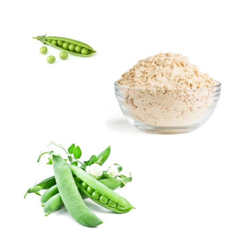 Organic Hemp Protein Powder Manufacturer - Pure Natural Food Supplements Hemp Seed Extract Powder