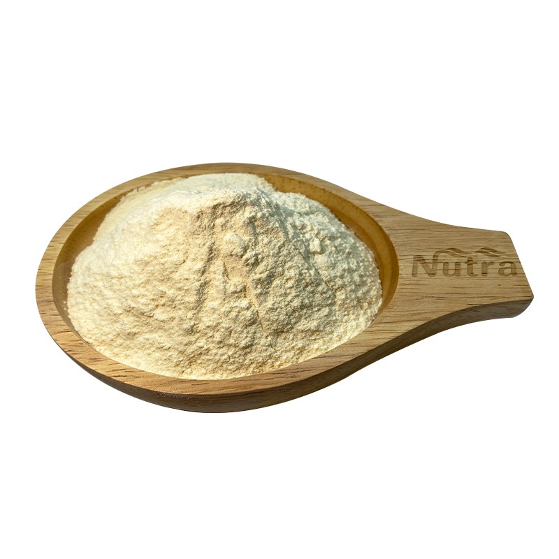 Organic Soy Protein Powder Manufacturer - Wholesale Food Additives Soy Protein Powder