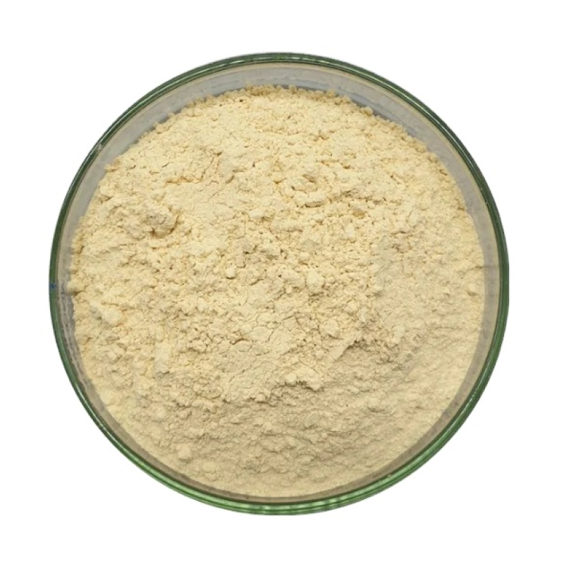 Non-dairy Creamer Manufacturer - Factory Price Vegetable Fat Powder Non-dairy Powder